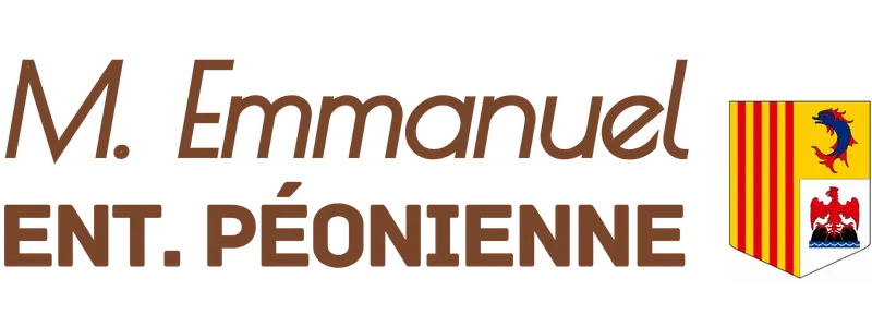 logo entreprise emmanuel