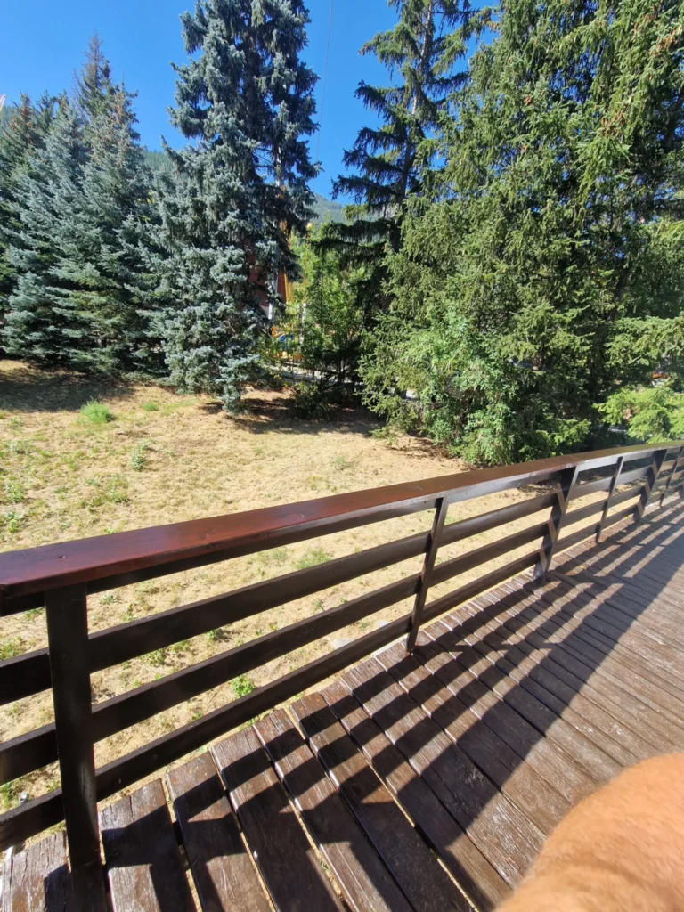 Rénovation d’un chalet en bois à La Bolline, Valdeblore